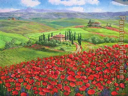 Unknown Artist TUSCANY POPPIES